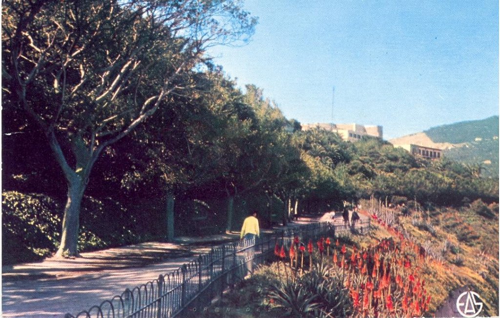 ORAN PROMENADE DE L ETANG.JPG